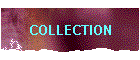 COLLECTION