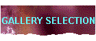 GALLERY SELECTION